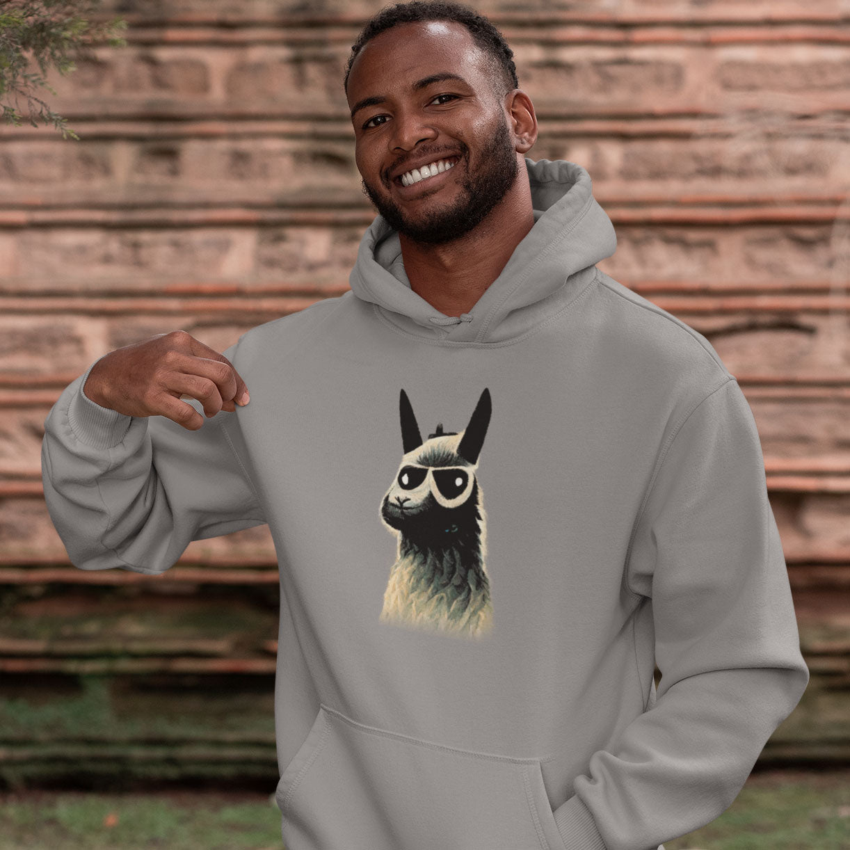 Llama Wearing Sunglasses Print Premium Unisex Pullover Hoodie