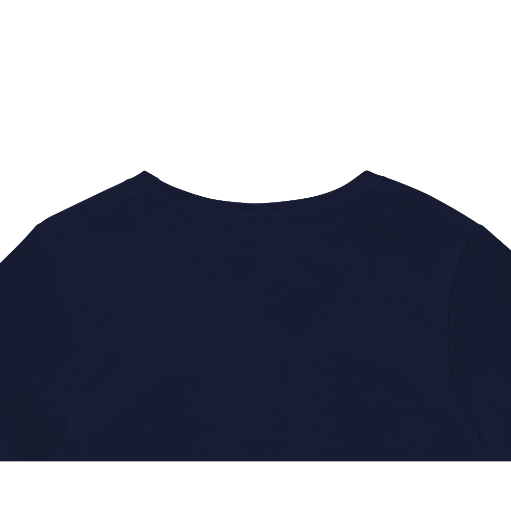 Rainbow Moose Print Heavyweight Unisex Crewneck T-shirt