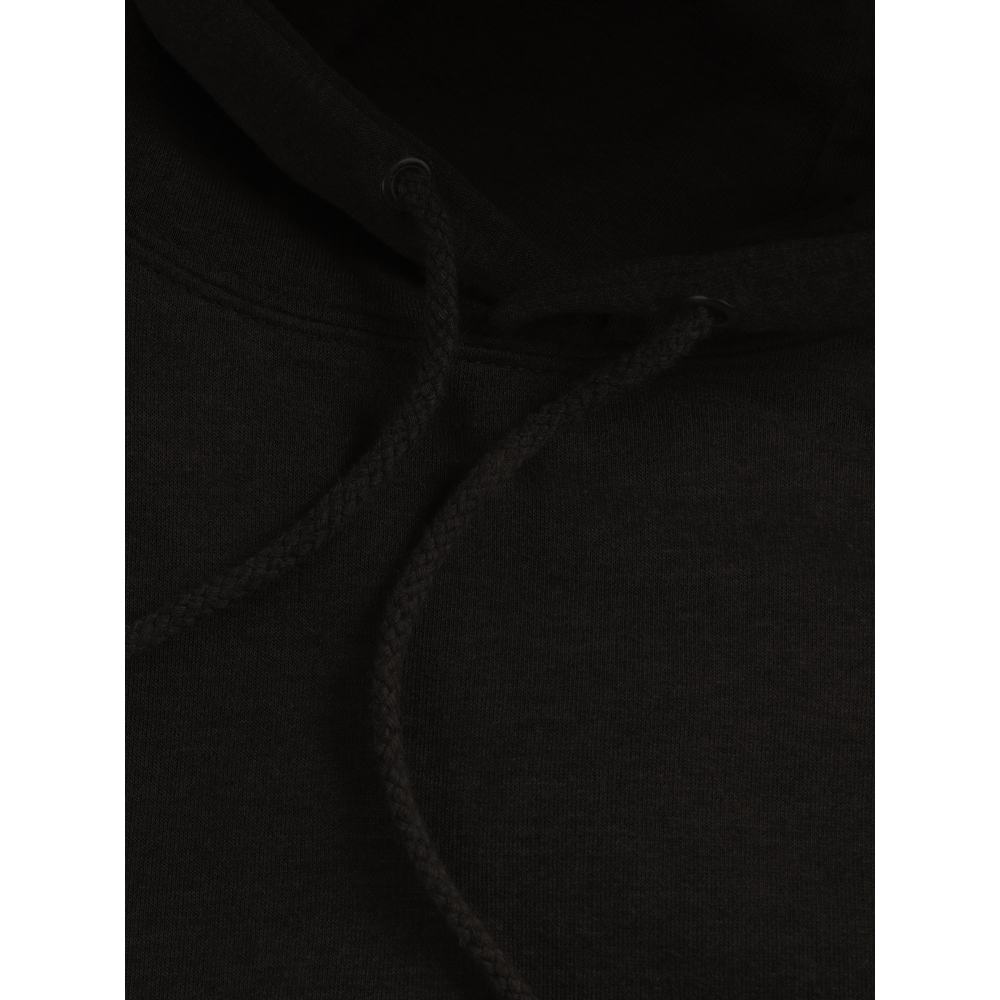 Cat Playing the Trumpet Premium Unisex Pullover Hoodie