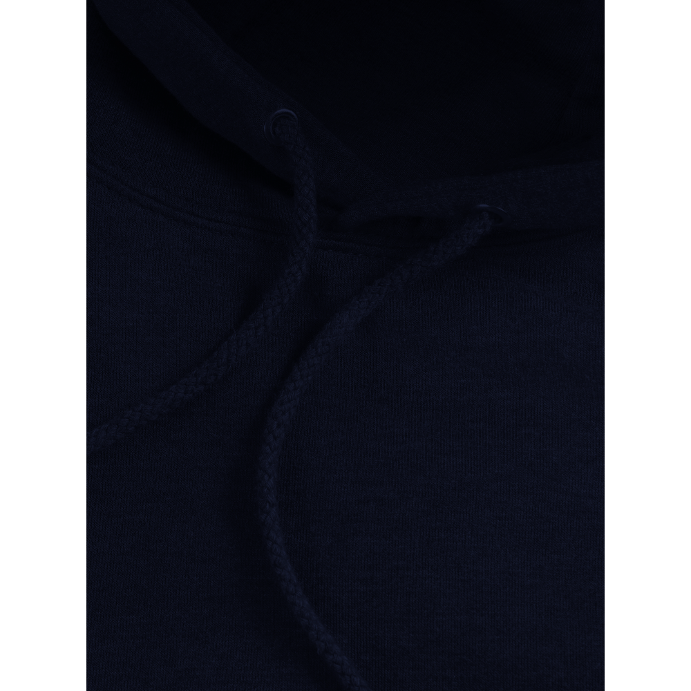 Fearless Flaming Lion Premium Unisex Pullover Hoodie.