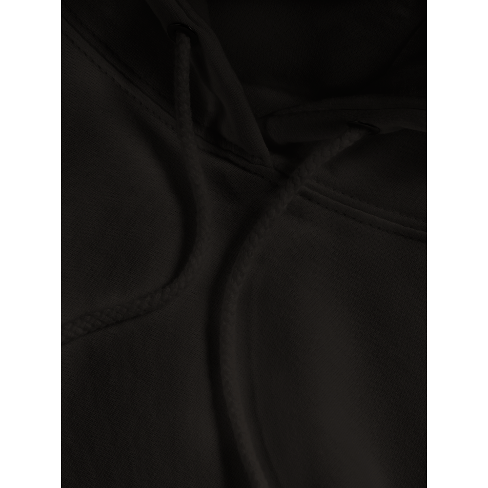 Pink Flamingo Premium Womens Pullover Hoodie
