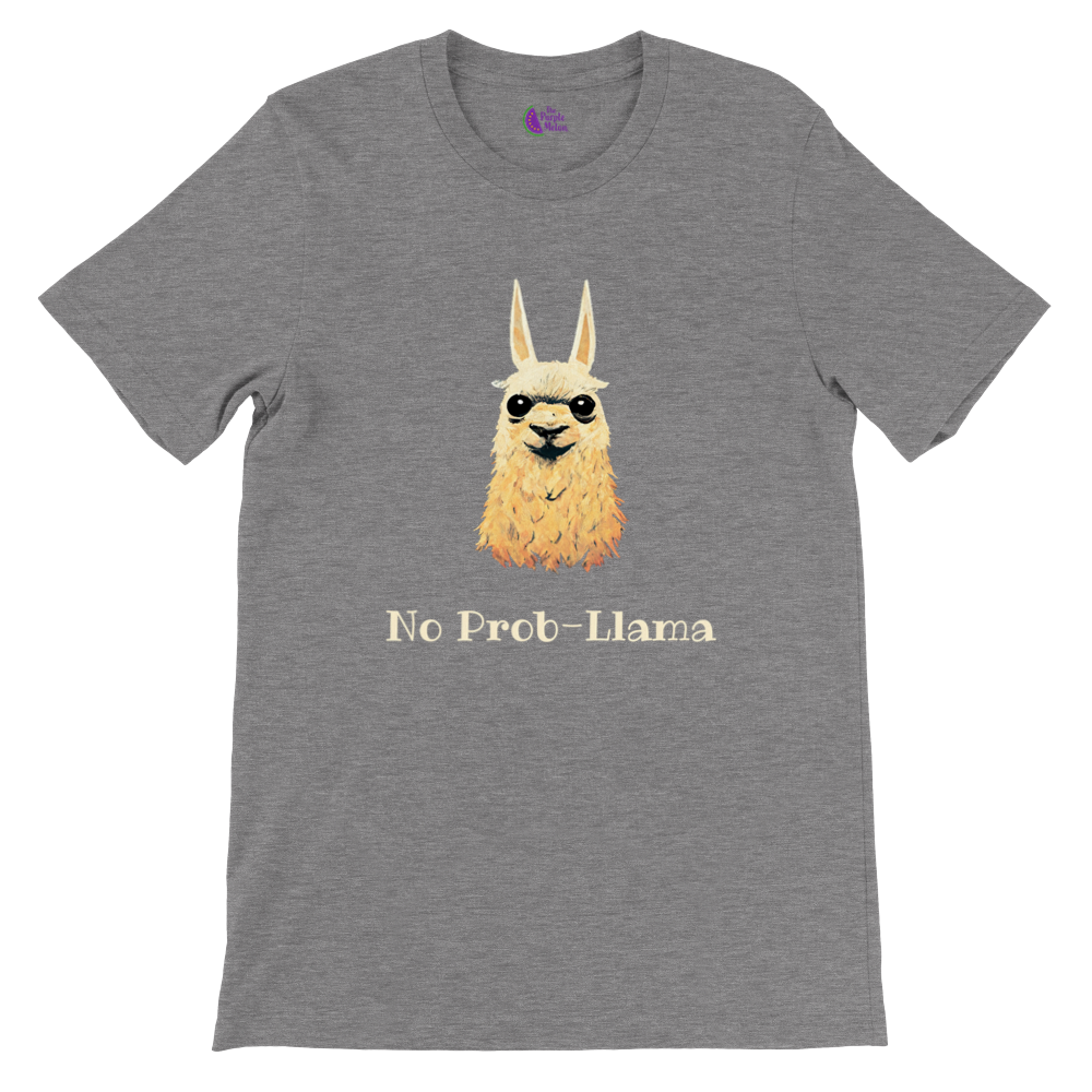 grey t-shirt with a cute no prob-llama print