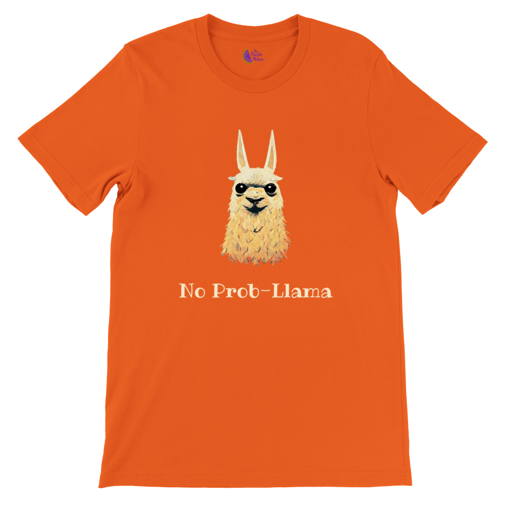 orange t-shirt with a cute no prob-llama print